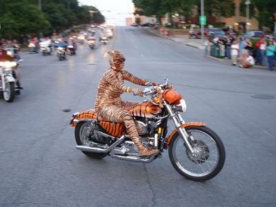 Motorcycle on 2006 Republic Of Texas Rally