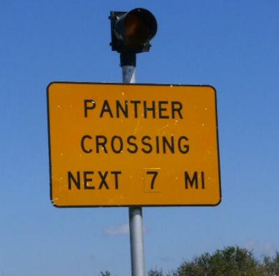 Panther Crossing - next 7 miles