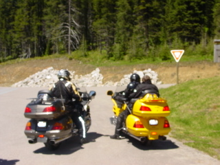 Honda Goldwings - admiring each other