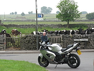 A dichotomy of opposites - motorcycle and cows