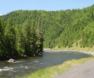 Another photo from the Lolo Pass - I crossed the road to get this shot.