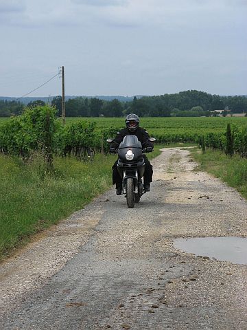 A narrow gravel road in France, outside of St. Emilion