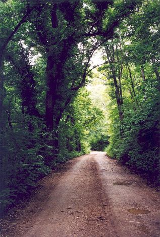 Gravel and mud - a great combination for motorcycling