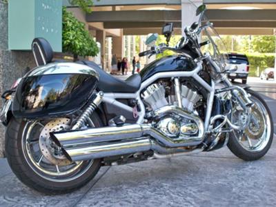 Yes, She Poses Like this All On Her Own