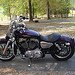 2008 XLl200L Harley