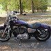 2008 XLl200L Harley