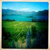 Wanaka